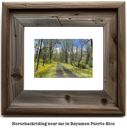 horseback riding near me in Bayamn, Puerto Rico